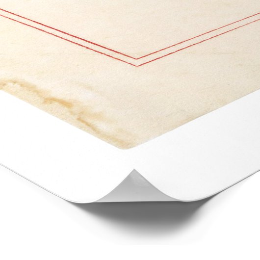 OORSPRONKELIJKE 19e wijziging Amerikaanse grondwet Poster (Hoek)