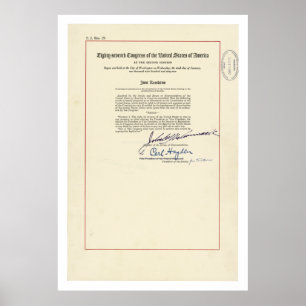 OORSPRONKELIJKE 24e wijziging Amerikaanse grondwet Poster