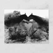 Oorspronkelijke briefkaarten (Voorkant)