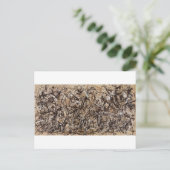 Oorspronkelijke herfstpolkverf briefkaart (Staand voorkant)