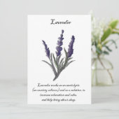 Oorspronkelijke ontwerplavenaarskaart kaart (Staand voorkant)