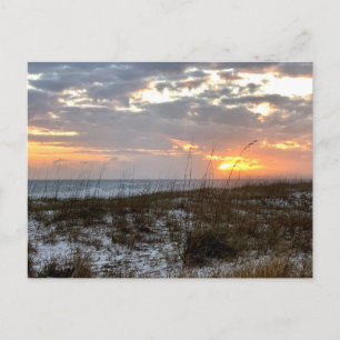 Oorspronkelijke Reis Fotografie Zuid-Carolina Briefkaart