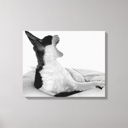 Oorspronkelijke titel: "Kitsa Diva" Canvas Afdruk (Voorkant)
