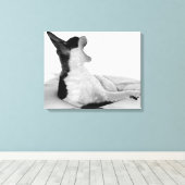 Oorspronkelijke titel: "Kitsa Diva" Canvas Afdruk (Insitu (Houten vloer))
