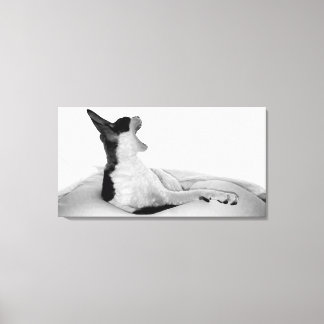 Oorspronkelijke titel: "Kitsa Diva" Canvas Afdruk