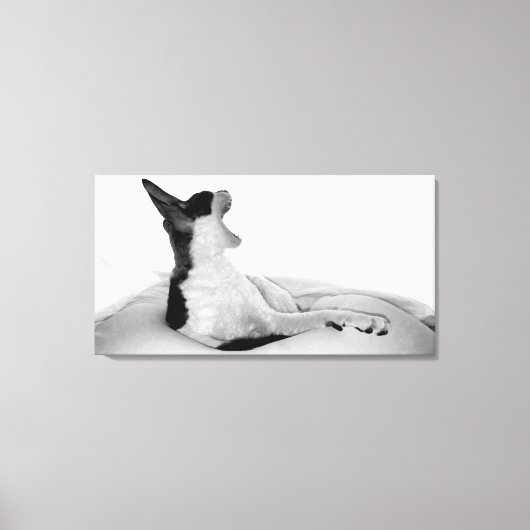 Oorspronkelijke titel: "Kitsa Diva" Canvas Afdruk (Voorkant)