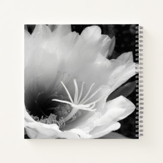 Oorspronkelijke titel: Night blooming Cereus Notitieboek