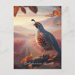 Oorspronkelijke Waterverf Californische Quail. vog Briefkaart