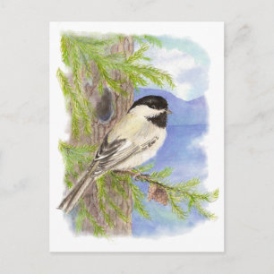 Oorspronkelijke Waterverf Chickadee in Pine Tree Briefkaart