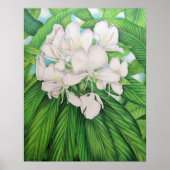 Oorspronkelijke waterverf van Joel W. Carlson van  Poster (Voorkant)