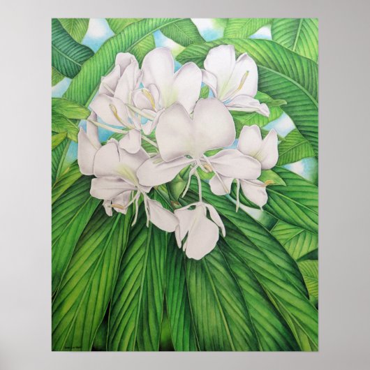 Oorspronkelijke waterverf van Joel W. Carlson van Poster (Voorkant)