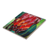 Oorspronkelijke waterverf van rode Protheebloem Tegeltje (Zijkant)