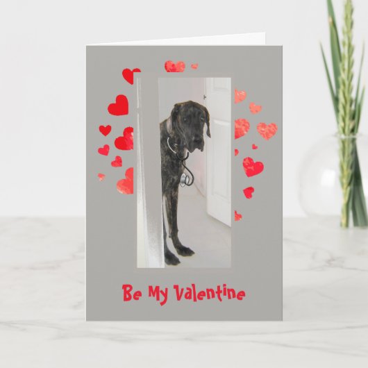 Oorzaak blaf ik Liefde u de Hond Valentijn van Feestdagen Kaart (Voorkant)
