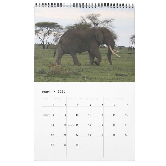 Oost-Afrika Kalender (Mar 2026)