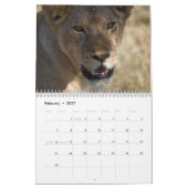 Oost-Afrika Safari Agenda Kalender (Feb 2027)