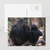 Oost-Afrika, Tanzania Briefkaart (Voorkant / Achterkant)