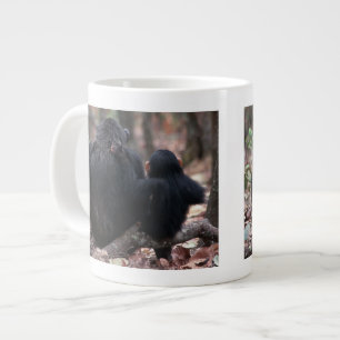 Oost-Afrika, Tanzania Grote Koffiekop