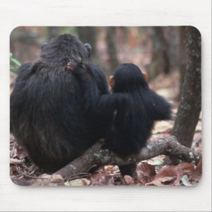 Oost-Afrika, Tanzania Muismat