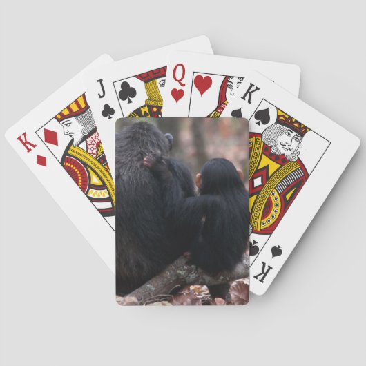 Oost-Afrika, Tanzania Pokerkaarten (Achterkant)