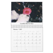 Oost-Amerikaanse en Caribische kalender (Feb 2027)
