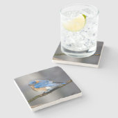 Oost-Bluebird Stone Onderzetter (Zijkant)