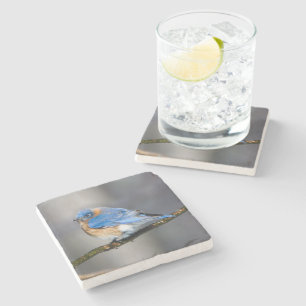 Oost-Bluebird Stone Onderzetter