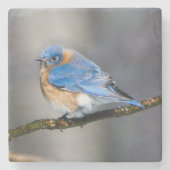 Oost-Bluebird Stone Onderzetter (Voorkant)