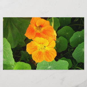 Oost-Indische kers Briefpapier
