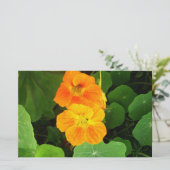 Oost-Indische kers Briefpapier (Staand voorkant)
