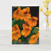 Oost-Indische kers Kaart (Gele Bloem)