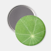 Oost-Indische-Kersbladmagneet Magneet (Voorkant / Achterkant)