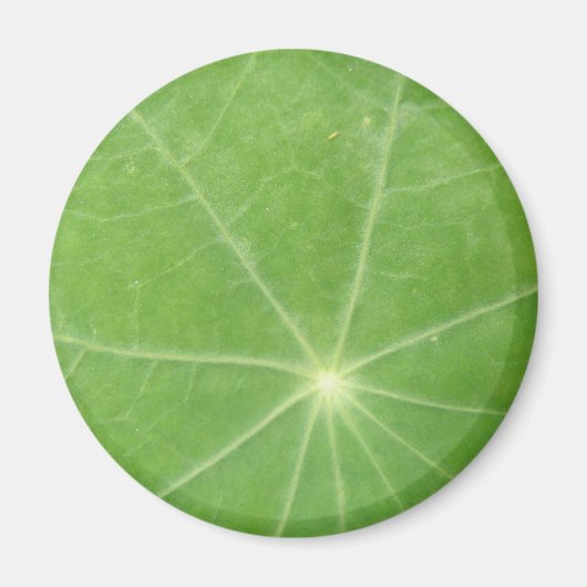 Oost-Indische-Kersbladmagneet Magneet (Voorkant)