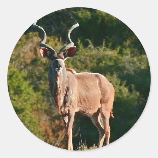 Oost-Kaap Kudu stickers (Voorkant)