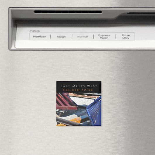 Oost ontmoet West, Golden Spike NHS Magneet (Insitu (Vaatwasser))