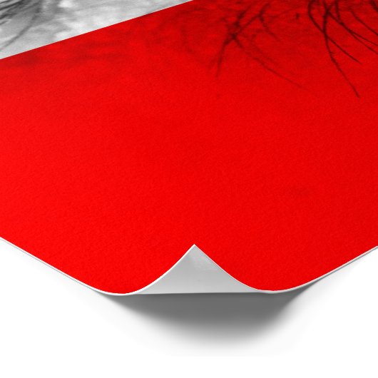 Oost-Oostenrijk Poster (Hoek)