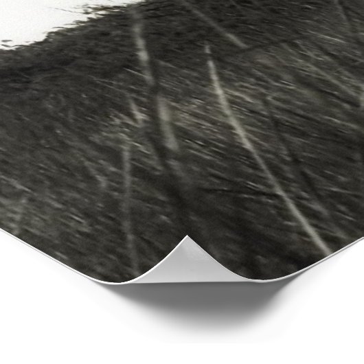 Oost-Point vuurtoren Poster (Hoek)