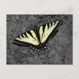 Oost-tijger Briefkaart