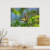 Oost-tijger Swallowtail China Berry Tree Poster (Keuken)
