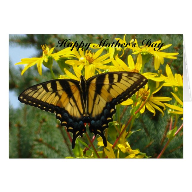 Oost-tijger-swallowtail Moederdag #2 (Voorkant Horizontaal)