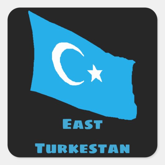 Oost-Turkestaanse vlag Sticker (Voorkant)