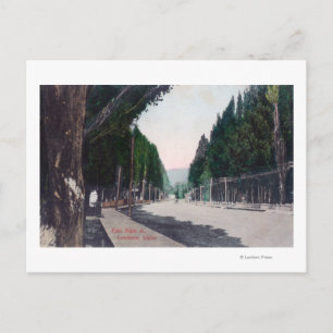 Oost-Uitzicht op Main StreetLewiston, ID Briefkaart