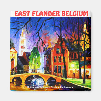 OOST-VLAANDEREN BELGIË Magneet DOOR Moji Okubule
