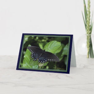 Oostelijk de swallowtail-Zwarte van de Tijger Feestdagen Kaart