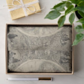 oostelijk halfrond 4 2 tissuepapier (Geschenk)