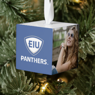 Oostelijk Illinois Panthers Shield & Wordmark Logo Decoratie