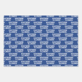 Oostelijk Illinois University Wordmark Logo Inpakpapier Vel (Voorkant)