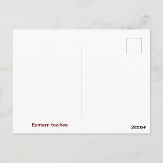 Oostelijk Towhee Briefkaart (Achterkant)