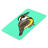 Oostelijke beemdgroeve magneet (Linkerzijde)