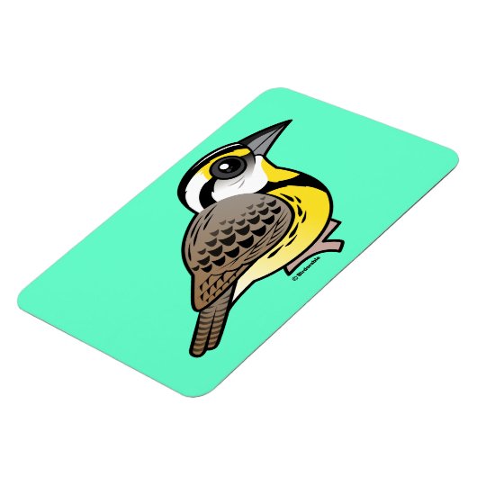 Oostelijke beemdgroeve magneet (Linkerzijde)