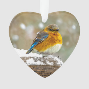 Oostelijke Blauwe Lijster in Sneeuw - Originele Fo Ornament